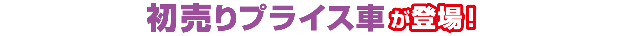 初売りプライス車が登場！