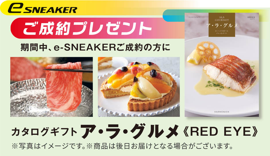 ダイハツから電動歩行領域モビリティ誕生
            ちょっとそこまでの近距離移動に最適な電動で軽快に走る、まさに乗るスニーカー
            歩行領域モビリティ e-SNEAKER