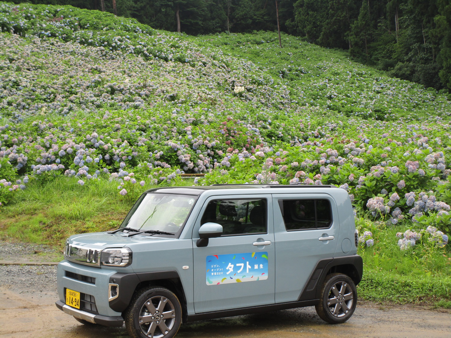 気仙沼 青の絶景 宮城ダイハツ販売株式会社